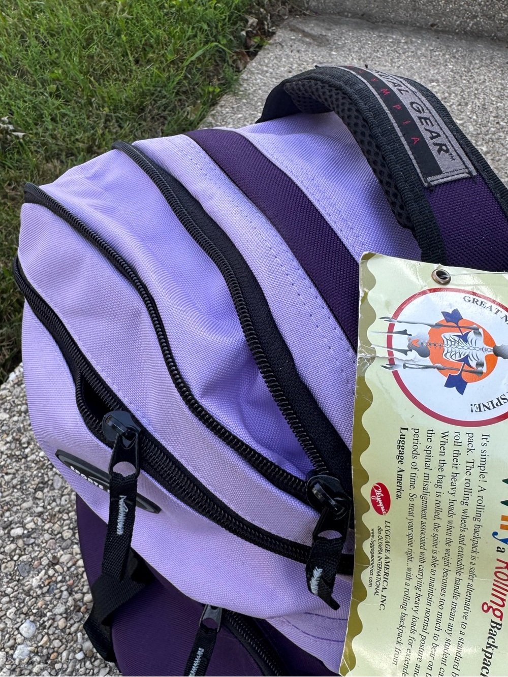 Casual Gear Purple Rolling Laptop Backpack with Dual-Tone Design - Picture 7 of 13